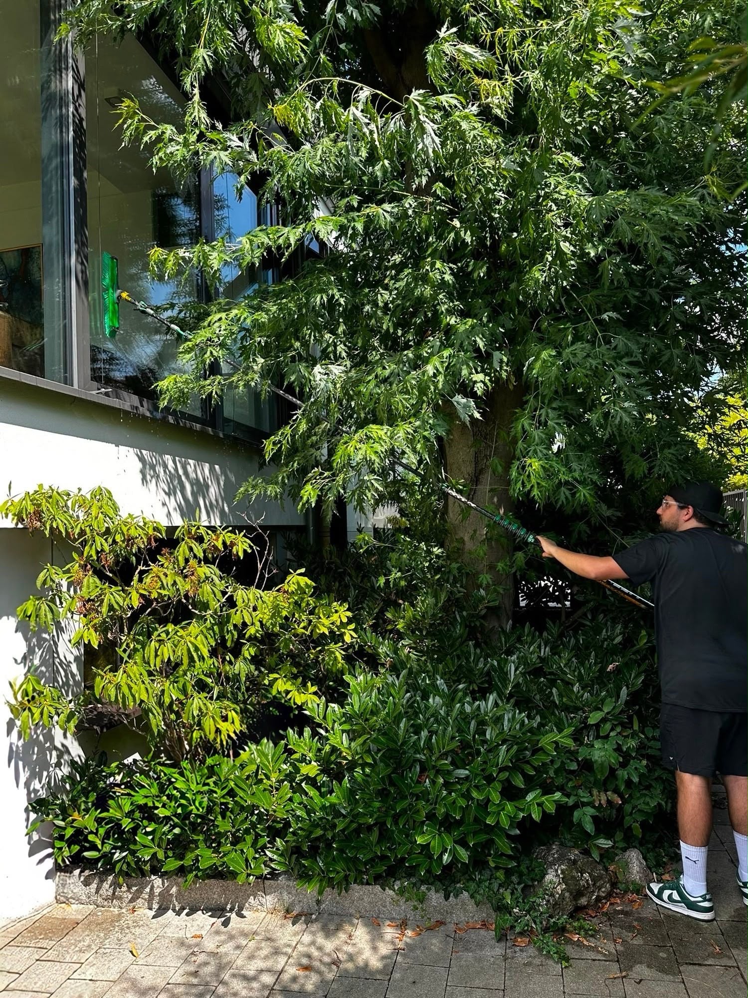 Fensterreinigung an einem Wohnhaus